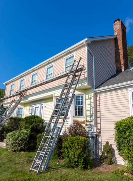 Best Dumpster Rental Services  in Morrisonville, NY